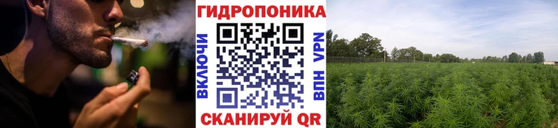 Шишки марихуана индика  продажа наркотиков  Покачи 